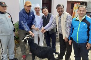जिल्ला कारागारका कैदी–बन्दीलाई संखुवासभा उद्योग वाणिज्य संघद्धारा खसी उपलव्ध