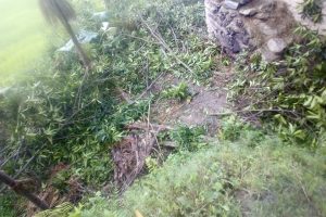 संखुवासभामा बगानबाटै १५ लाख रुपैयाँ बराबरको रुद्राक्ष चोरी
