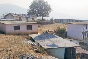 भागरथी हत्या प्रकरण : विद्यार्थी त्रासमा