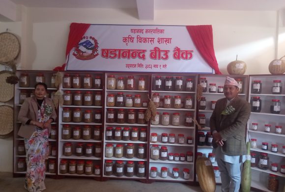 षडानन्द नगरपालिकामा कृषक लक्षित ‘बीउ बैंक’ स्थापना